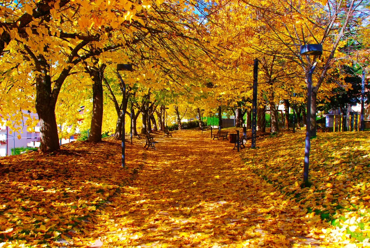 Giornate FAI d'Autunno