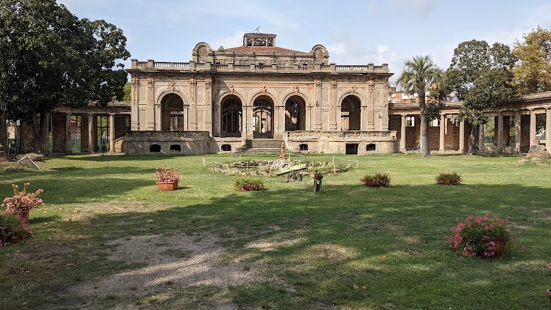 Immagine di Copertina