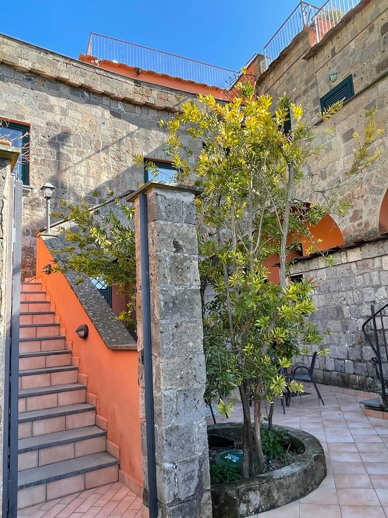 Immagine di Copertina