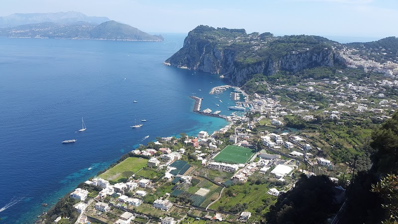 Immagine di Copertina