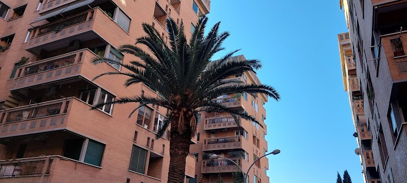 BED AND BREAKFAST ROMA DORME