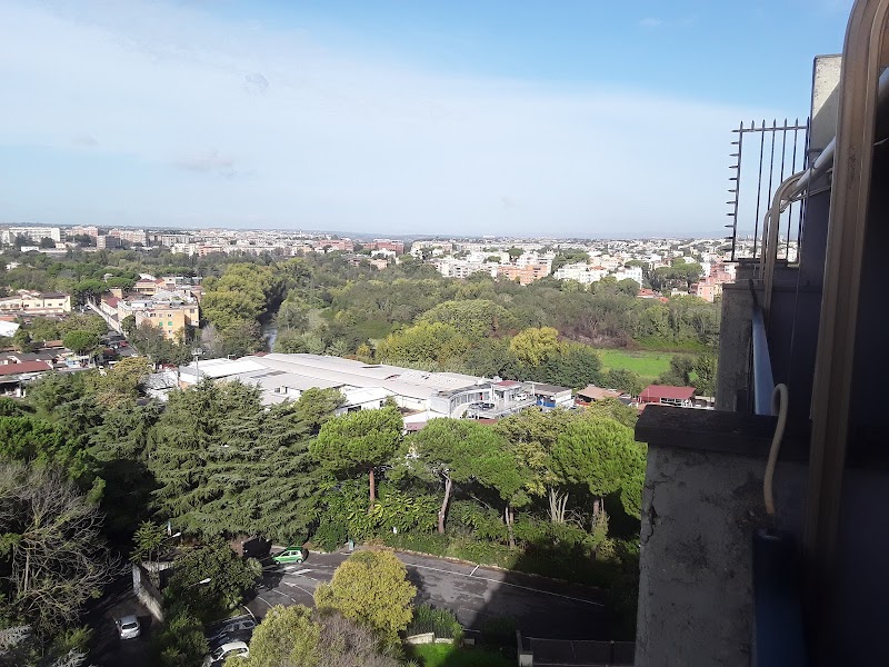 Podere Pian Dei Gelsi