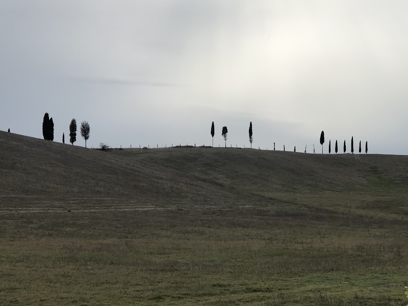 BELLA VISTA A CASTELFIORENTINO