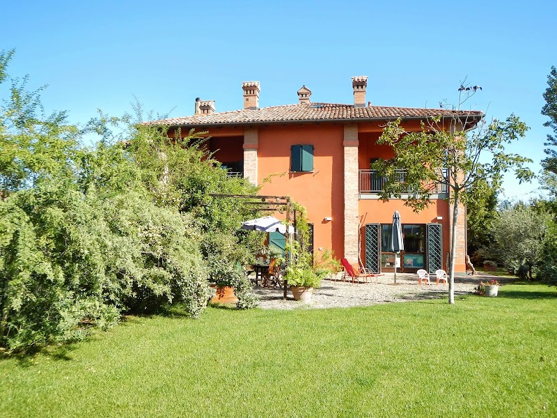 Immagine di Copertina