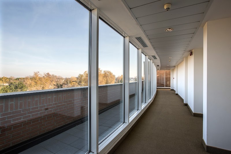 Immagine di Copertina