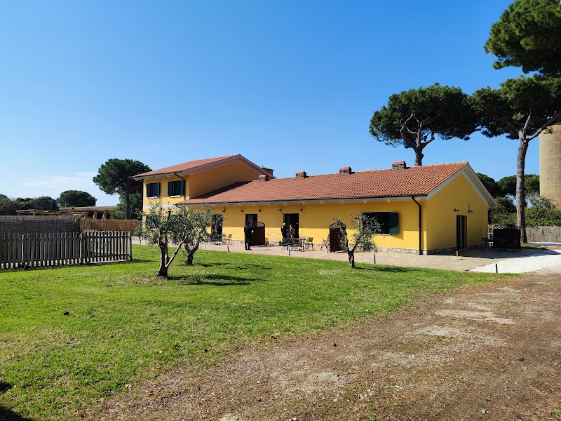 La Fattoria di Tirrenia