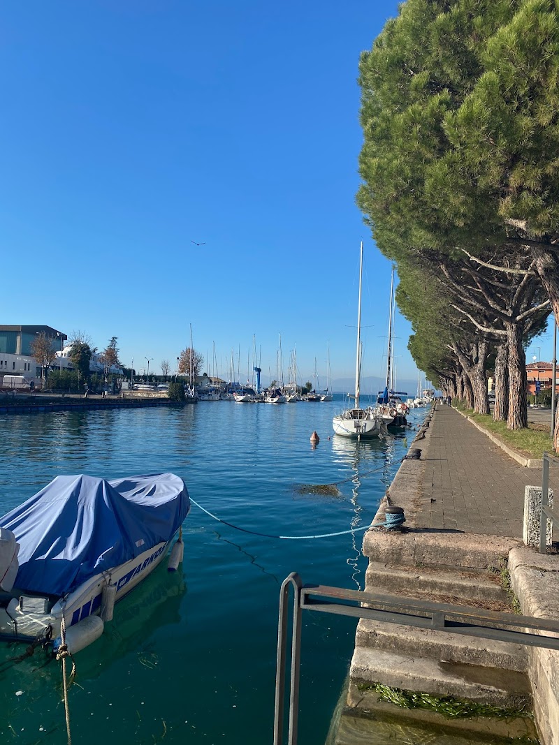 Immagine di Copertina