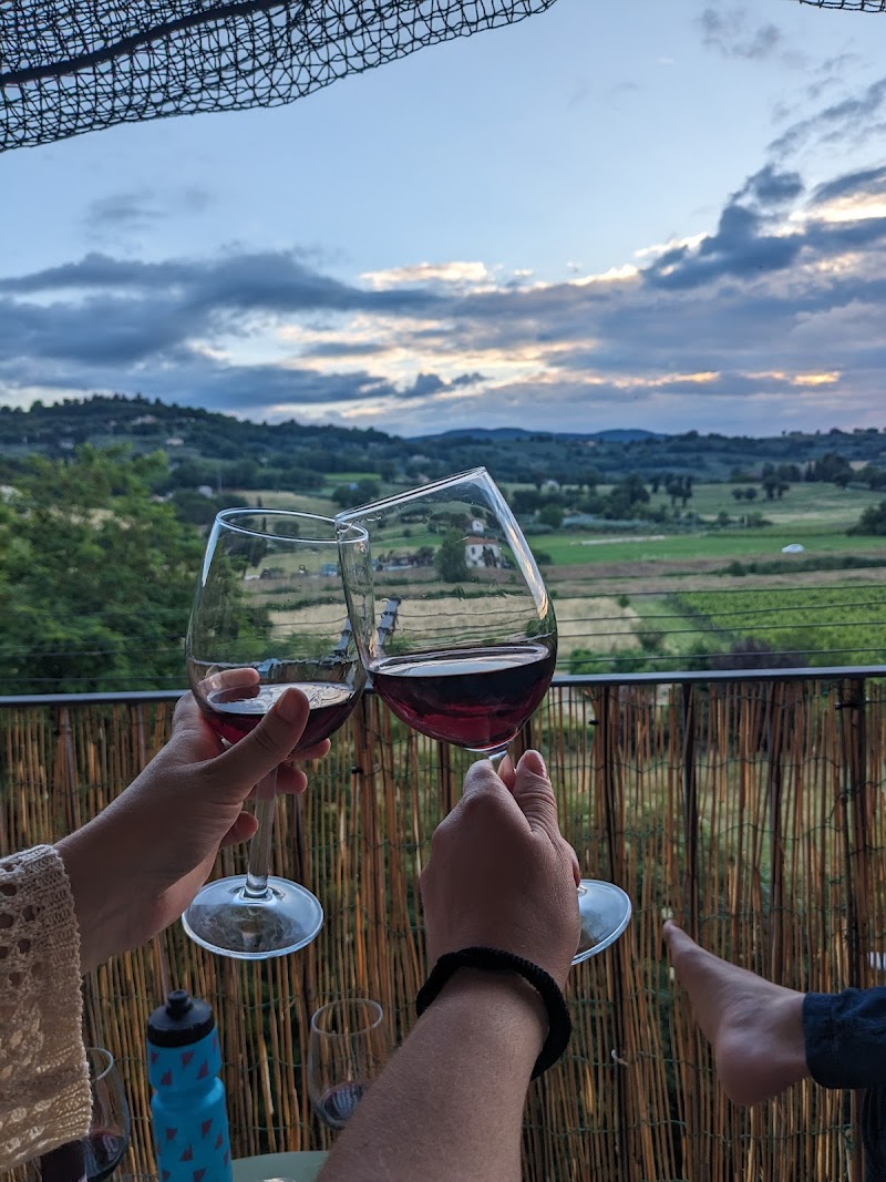 Immagine di Copertina