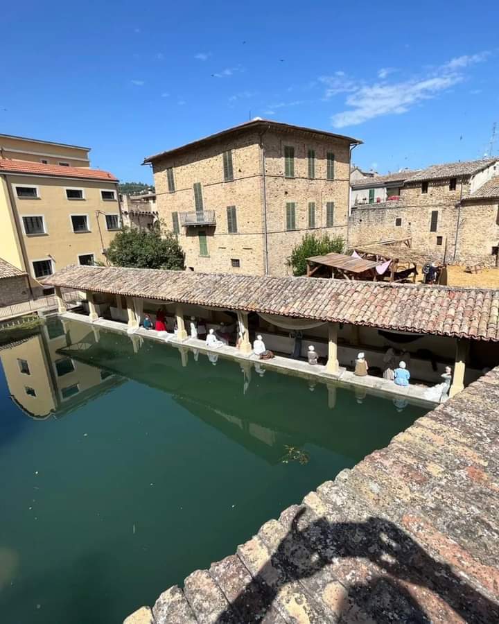 Immagine di Copertina