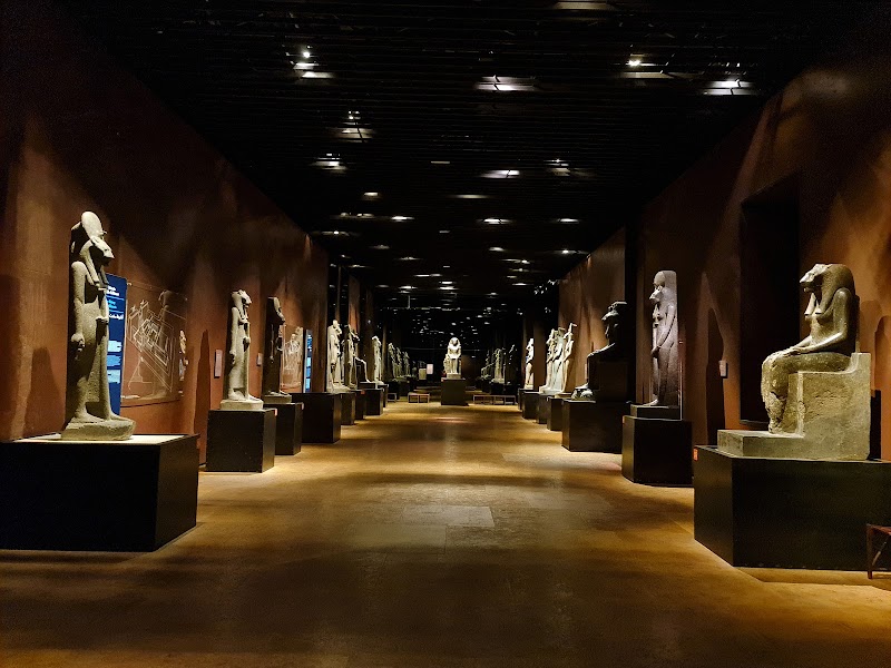 Immagine di Copertina