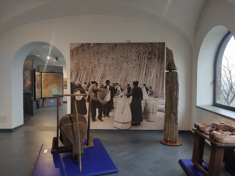 Immagine di Copertina