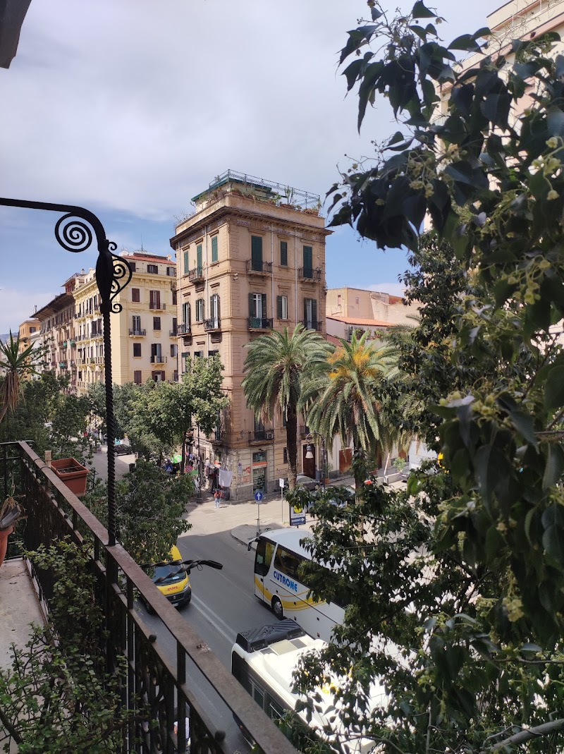 Immagine di Copertina