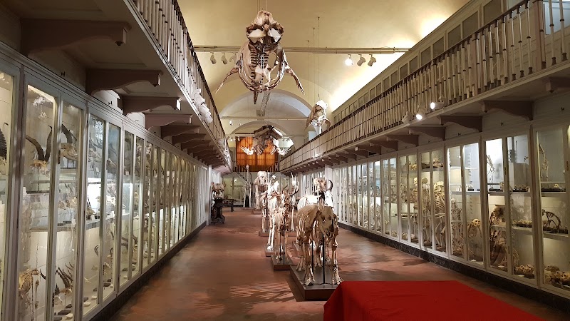 Immagine di Copertina