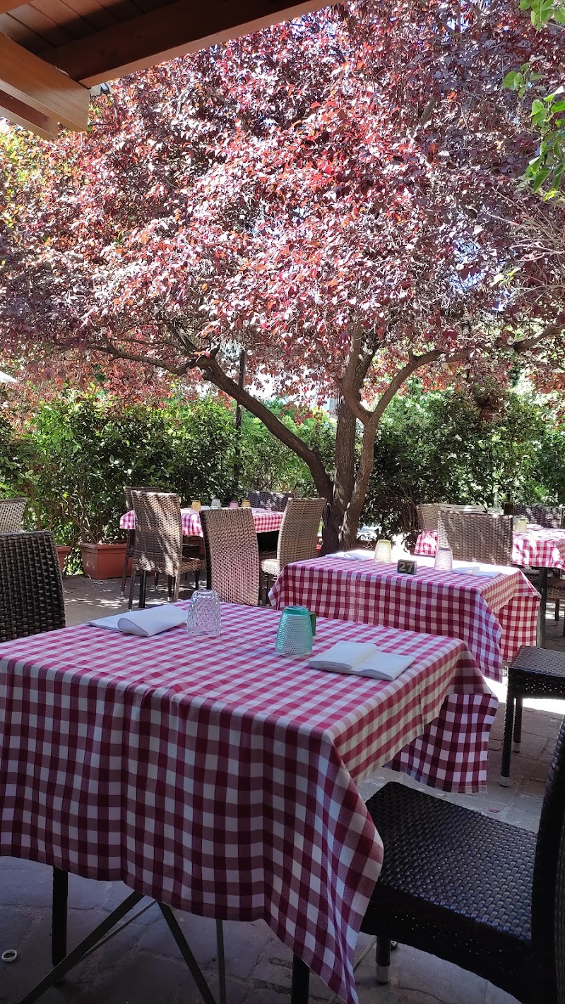 La Felicetta Restaurant Trattoria
