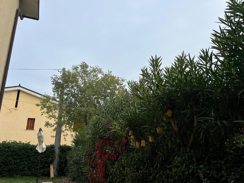 Immagine di Copertina