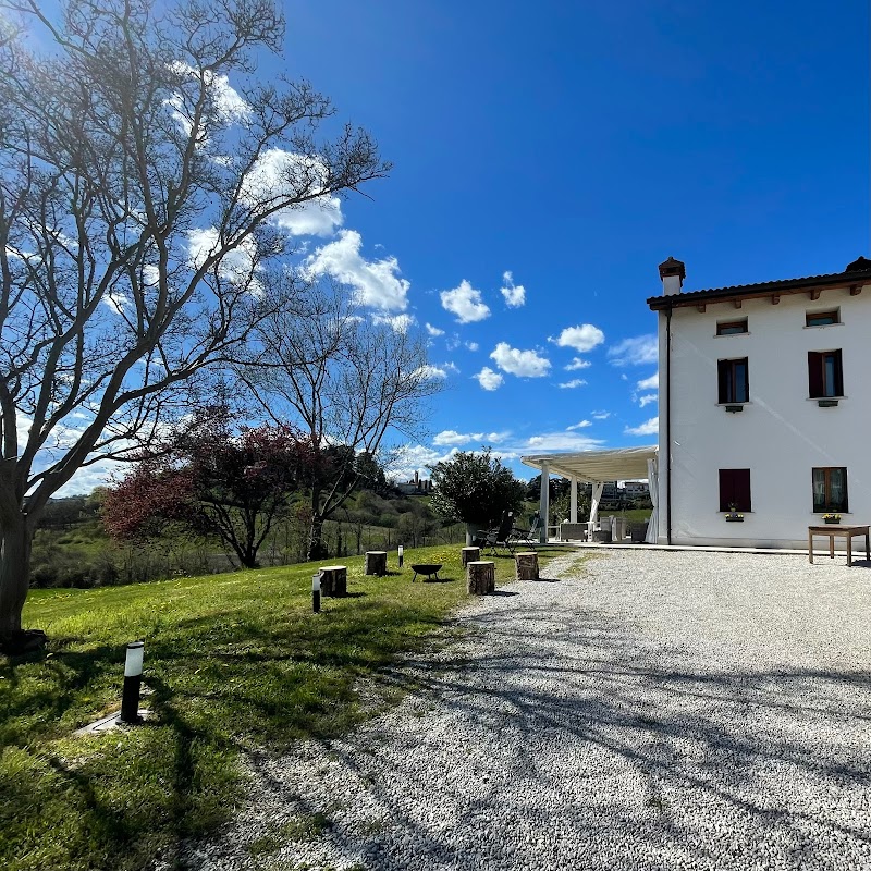 Immagine di Copertina