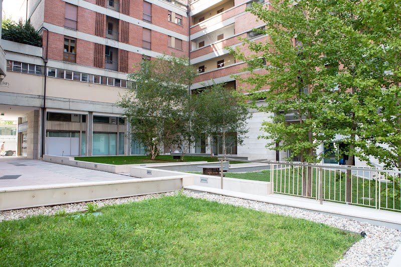 Immagine di Copertina