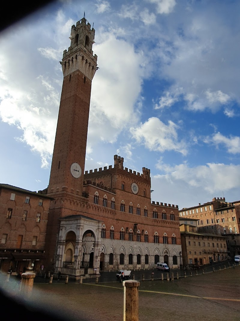 SIENA GALLERY - AFFITTACAMERE PROFESSIONALE