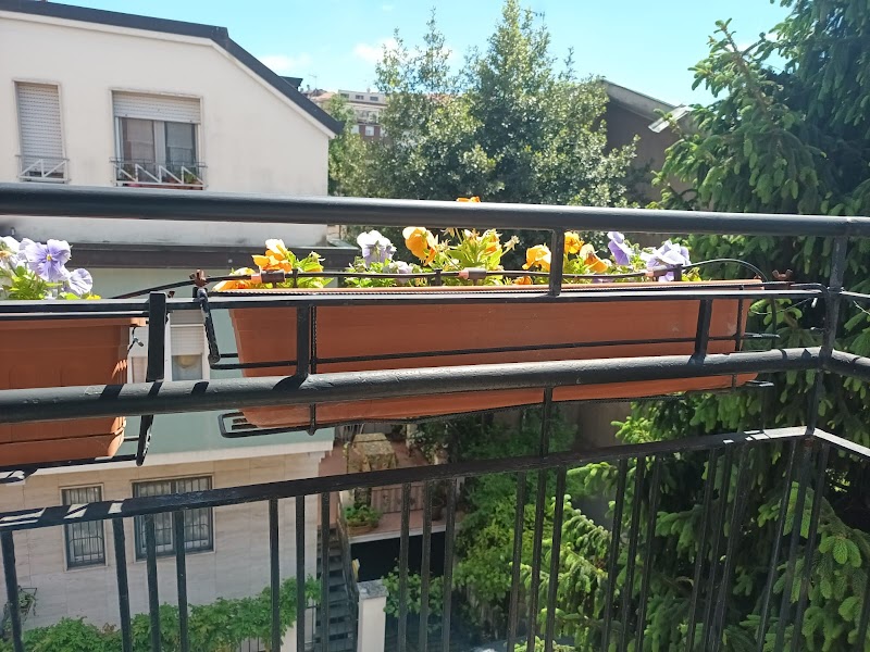 Immagine di Copertina