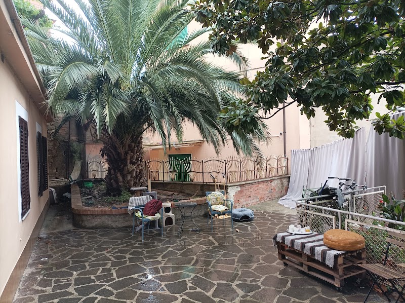 Immagine di Copertina