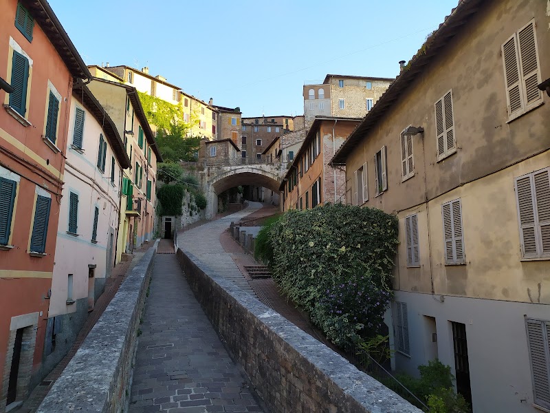 Immagine di Copertina