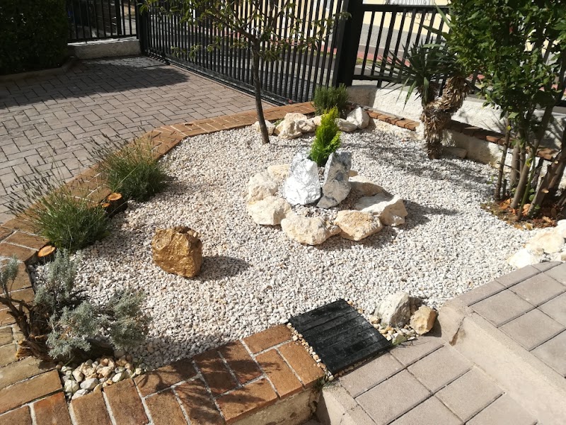 Immagine di Copertina