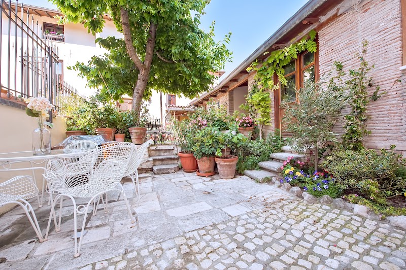 B&amp;B Bone Novelle