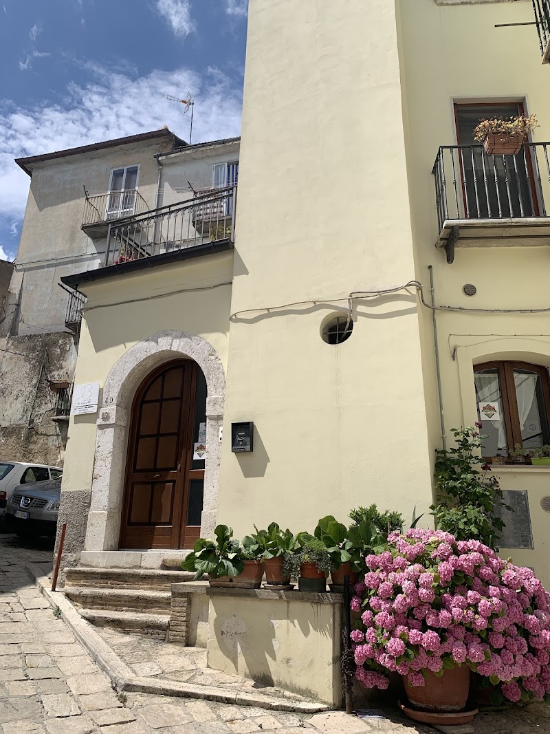 Immagine di Copertina