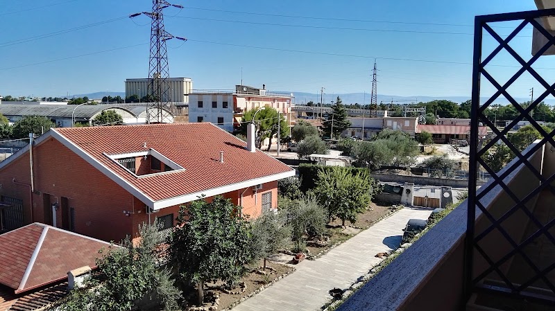 Immagine di Copertina