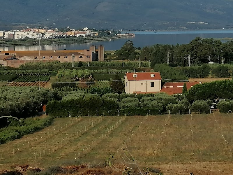 Bed &amp; Breakfast Alice