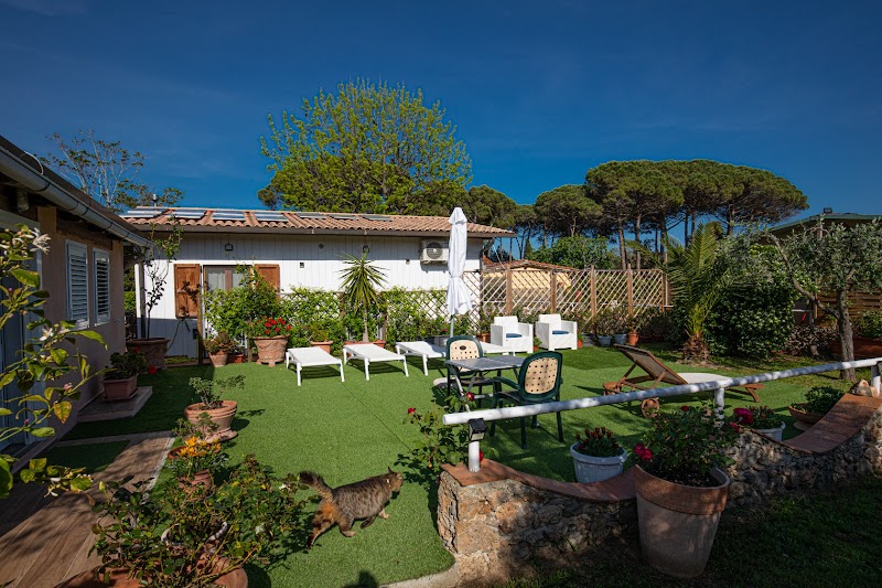 Giannella Tuscany Holiday