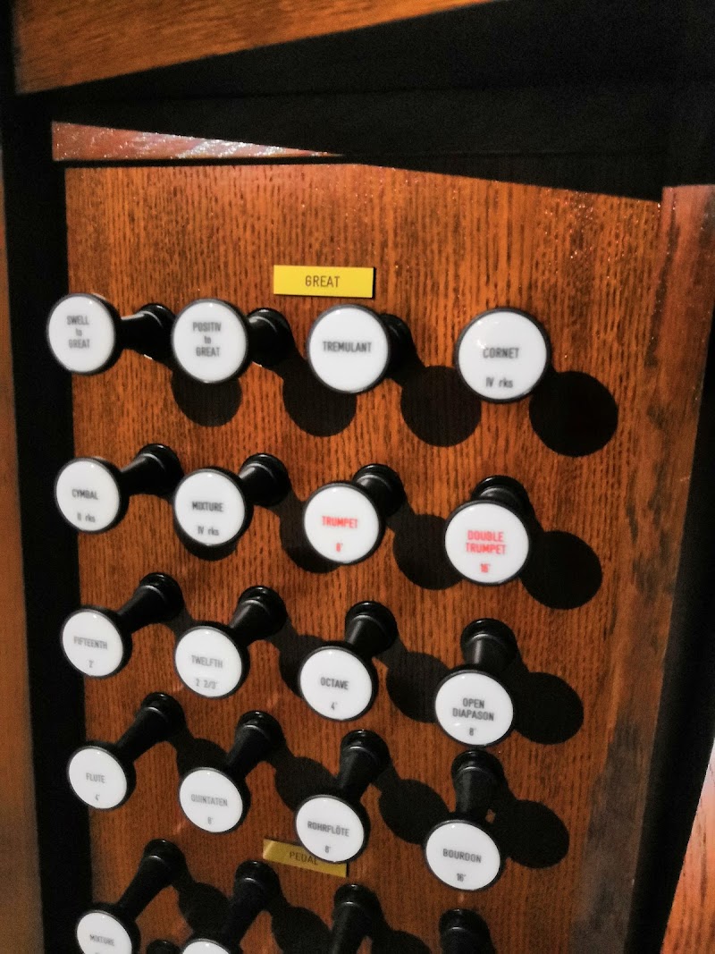 Immagine di Copertina