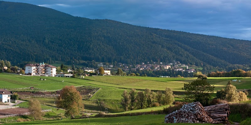 Immagine di Copertina