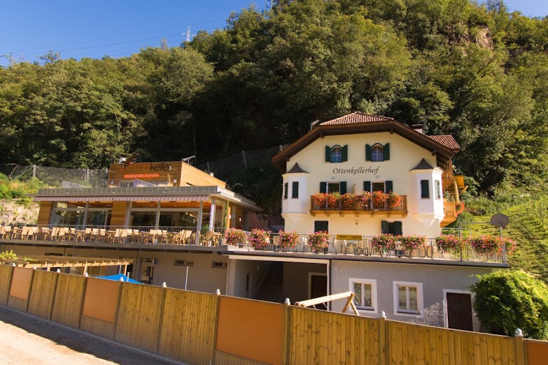 Immagine di Copertina