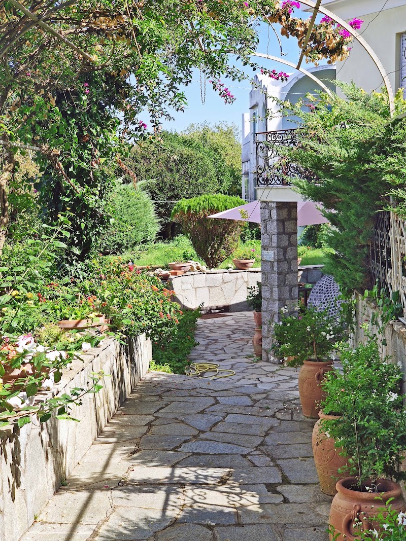 Bed &amp; Breakfast Cavalluccio Marino Anacapri