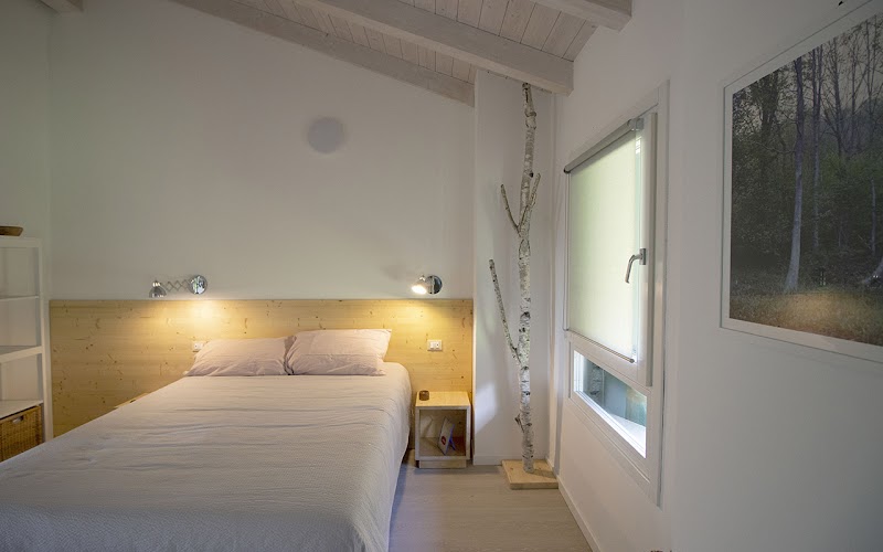 Immagine di Copertina