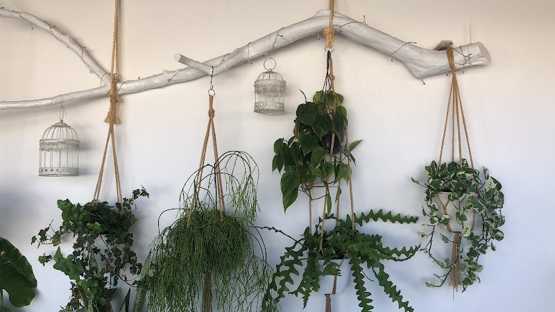 Bed &amp; Breakfast Casa Bea Tortolì Sardinia