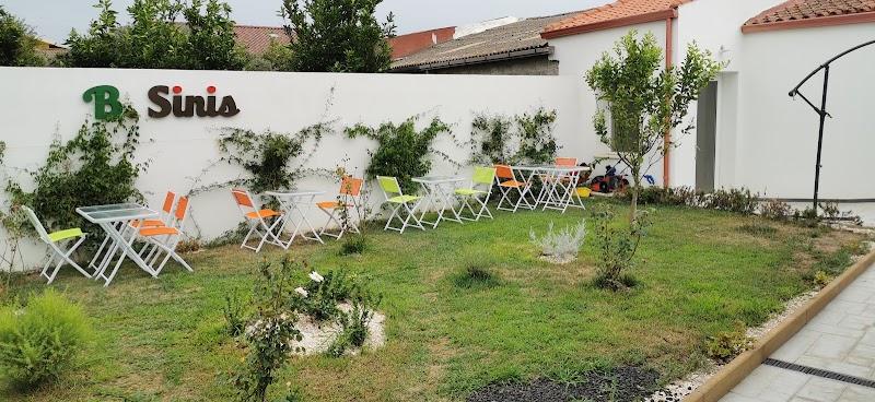 B.SINIS