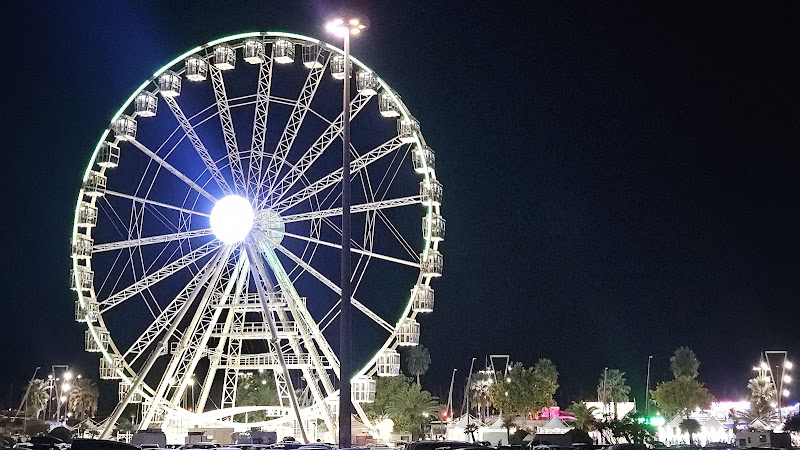 Immagine di Copertina