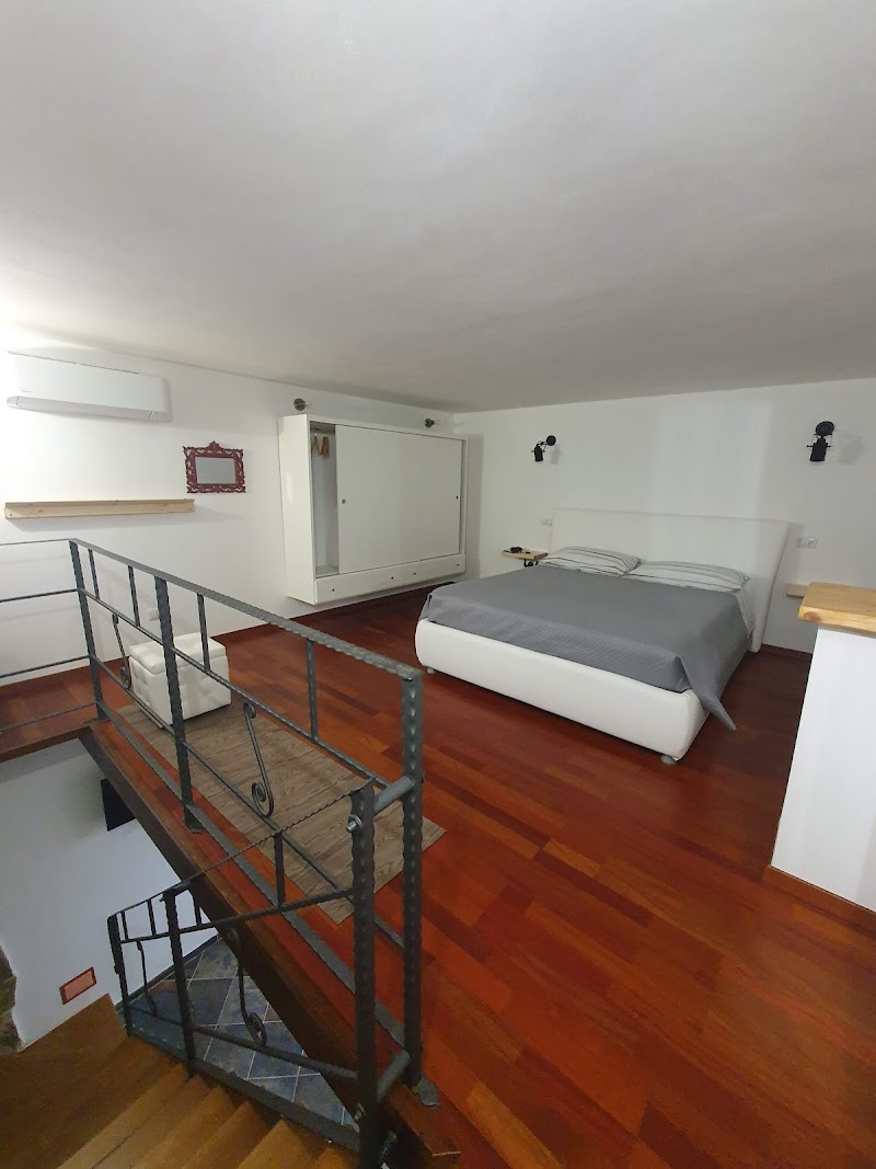 Immagine di Copertina