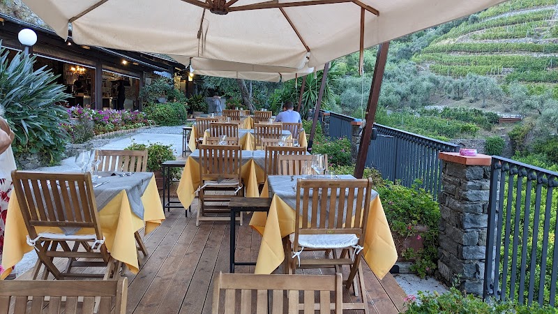 Ristorante Vinery Buranco