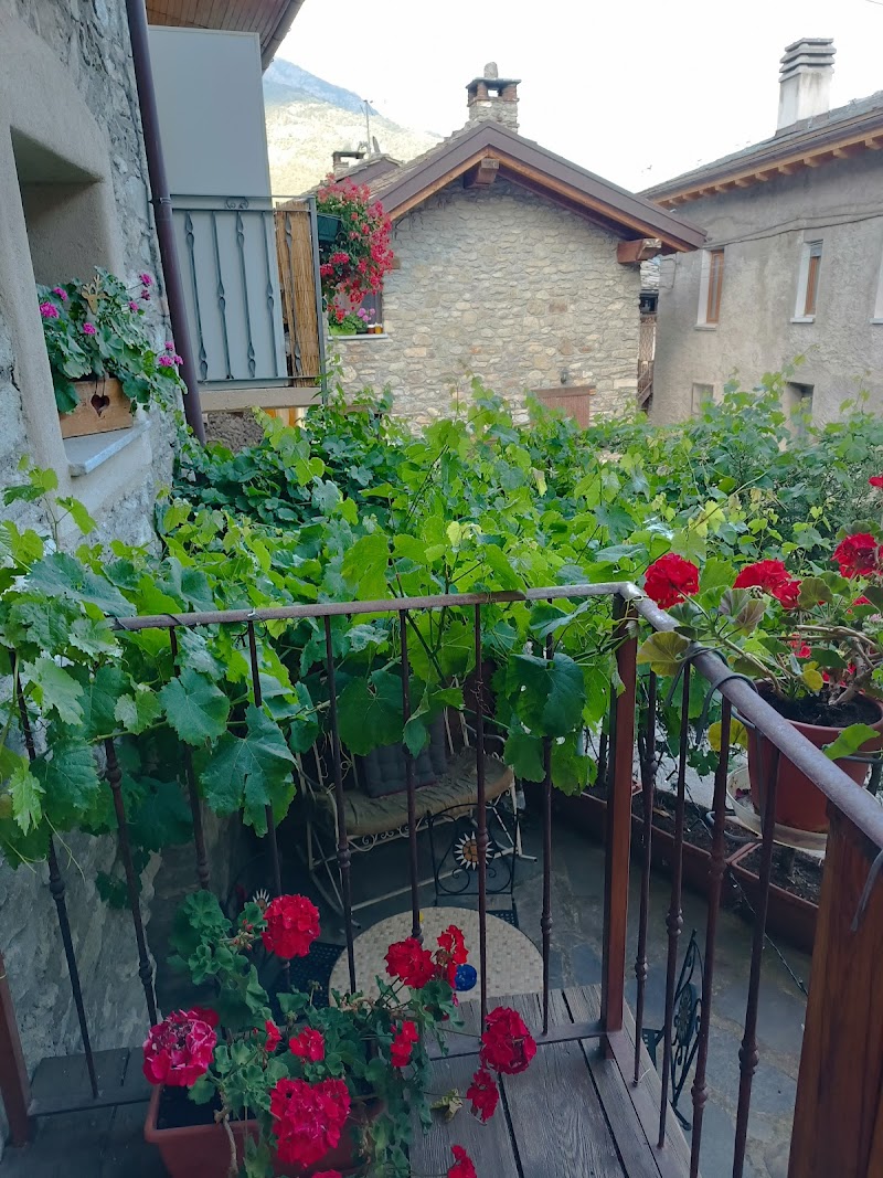 Immagine di Copertina