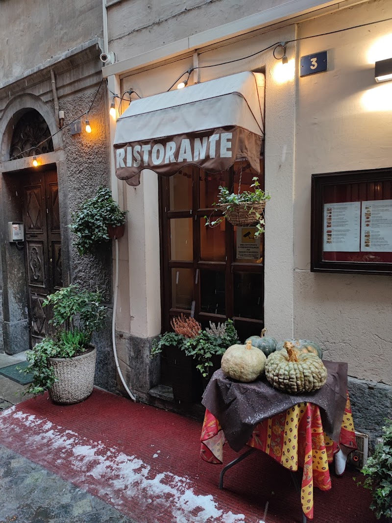 Immagine di Copertina