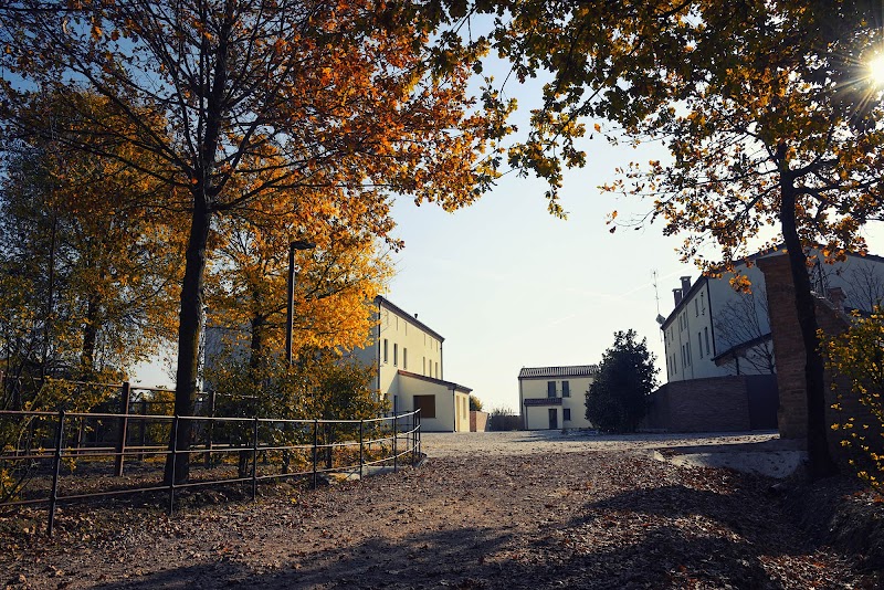 Immagine di Copertina