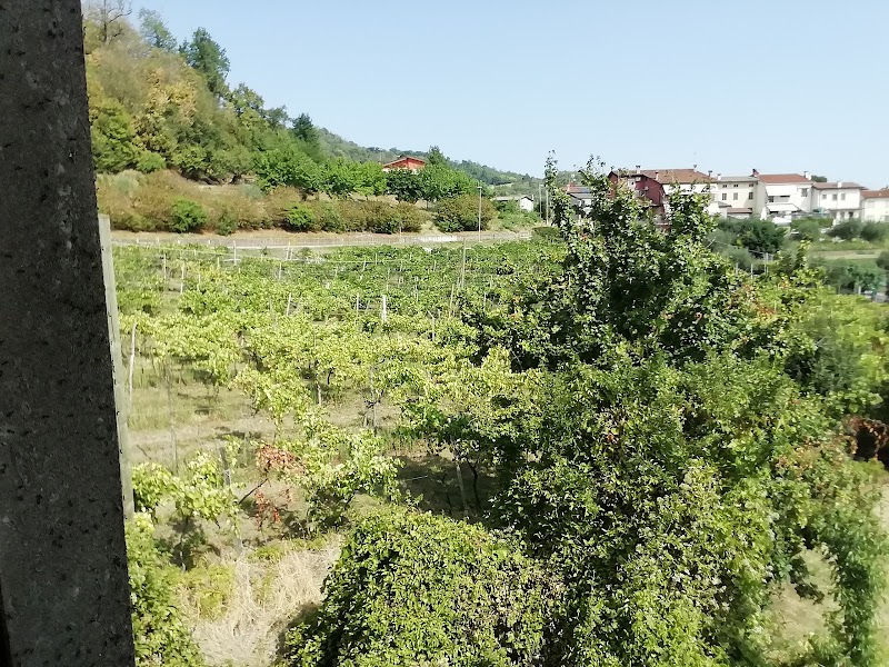 Dal'Antico Campanile, Rovigo