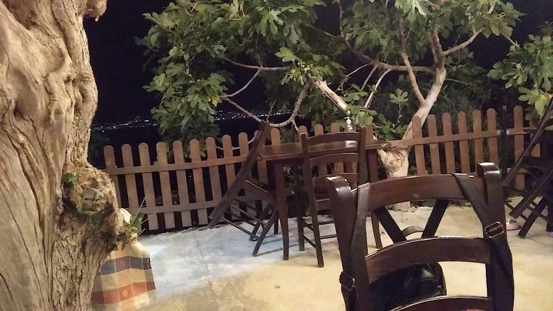 Immagine di Copertina