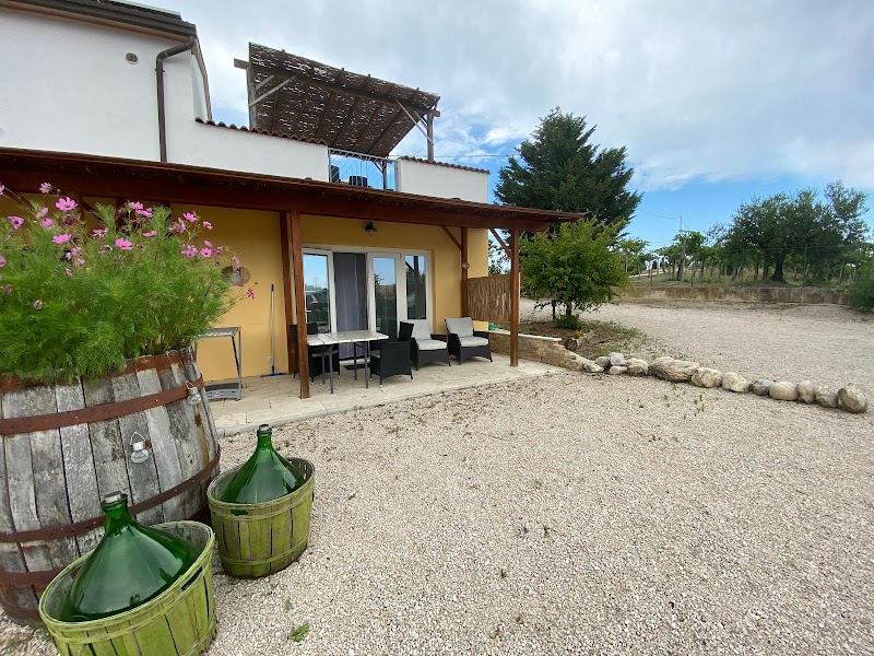 Immagine di Copertina