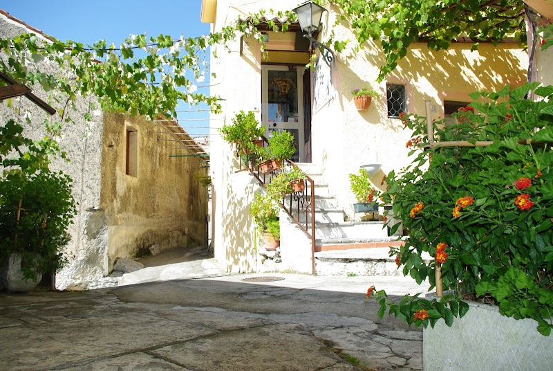 Immagine di Copertina