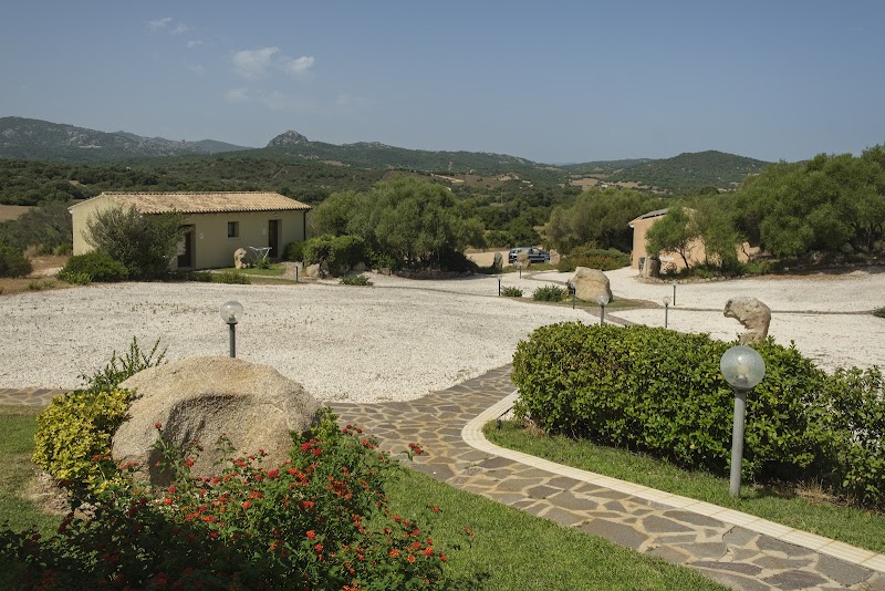 Immagine di Copertina