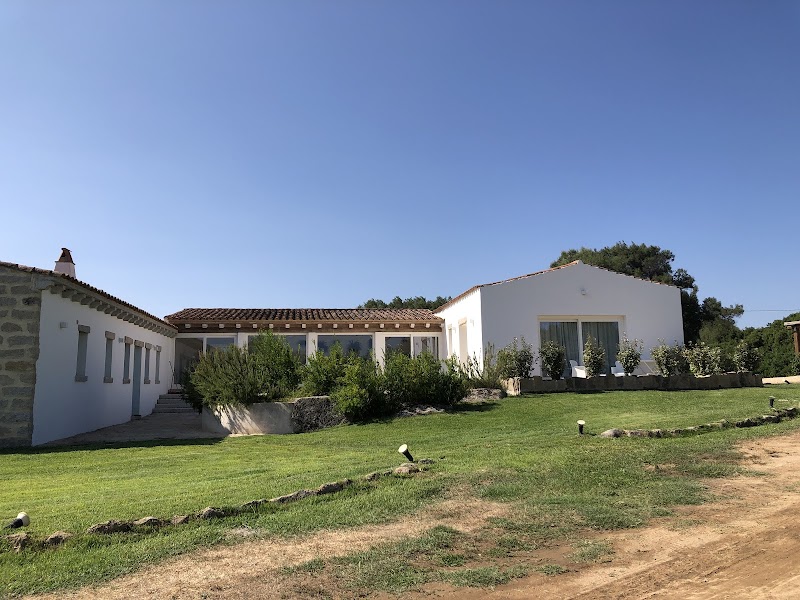 Immagine di Copertina